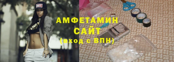 соль ск Дмитриев