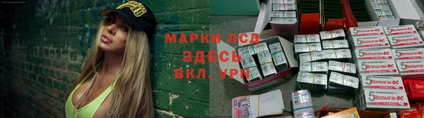 соль ск Дмитриев