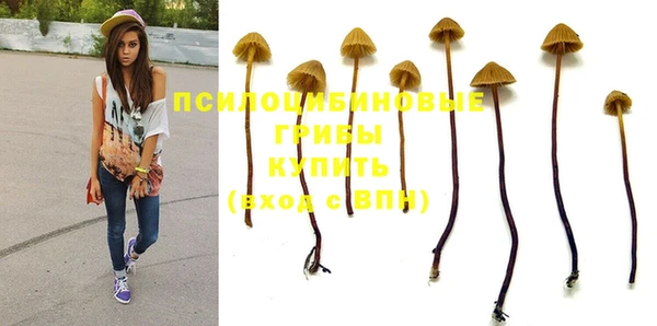 амф Дмитровск