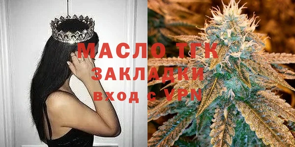 соль ск Дмитриев