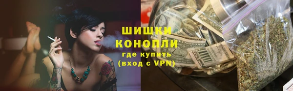 соль ск Дмитриев