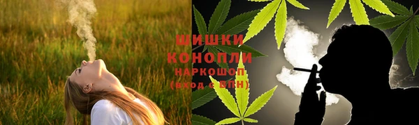 стафф Дмитров