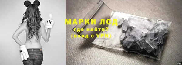 соль ск Дмитриев