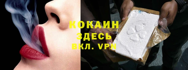 соль ск Дмитриев