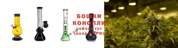 стафф Дмитров