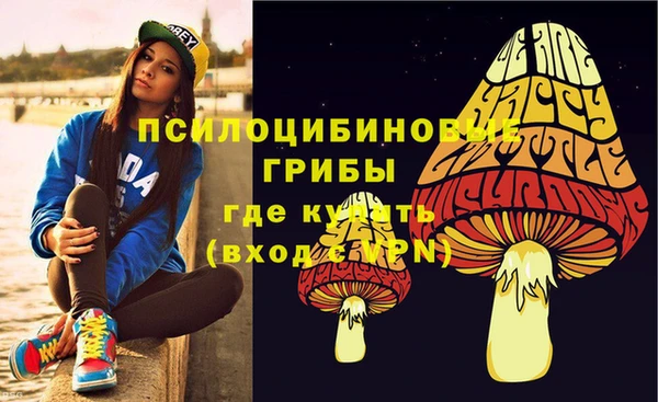 соль ск Дмитриев