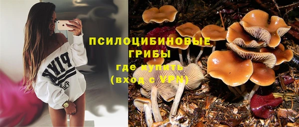 стафф Дмитров