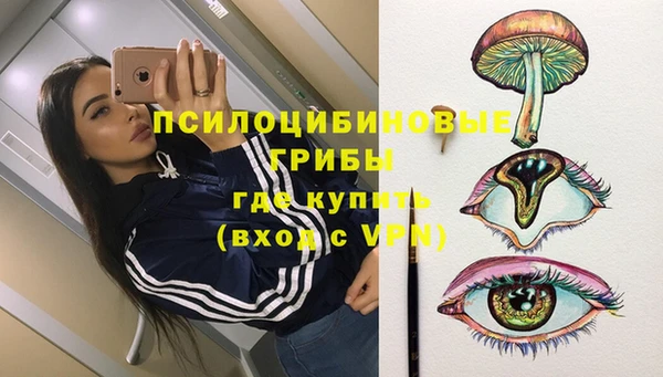 стафф Дмитров