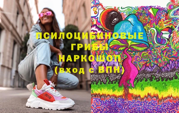 соль ск Дмитриев