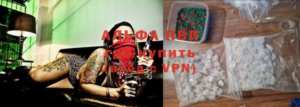 стафф Дмитров