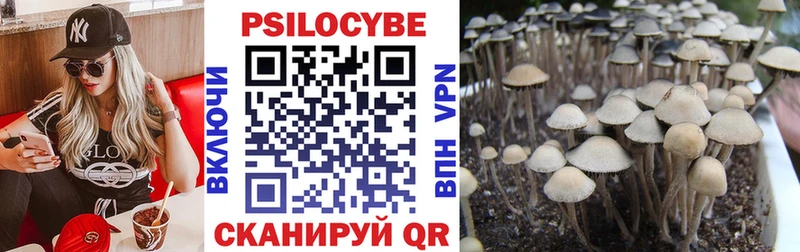 Купить закладки  Лобня  Галлюциногенные грибы прущие грибы 